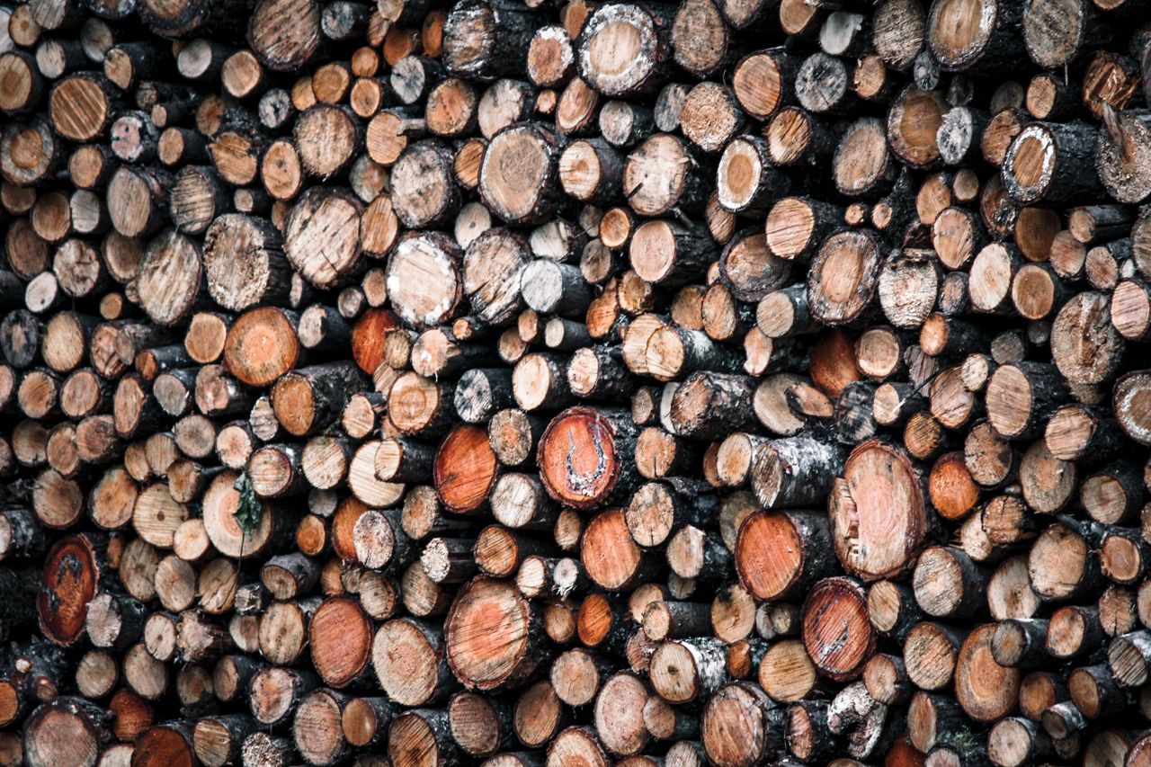 The Art of Drawing Readers In: Your attractive post title goes here A neatly arranged stack of cut firewood logs in an outdoor setting, showcasing natural textures.
